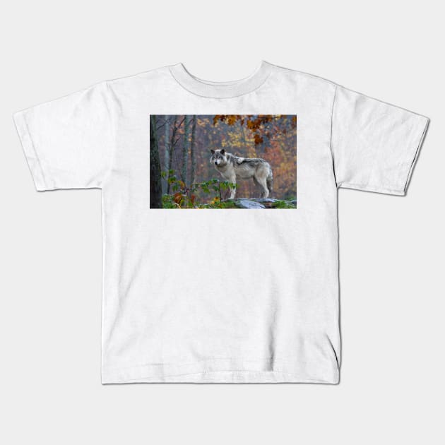 Timber Wolf Kids T-Shirt by Jim Cumming